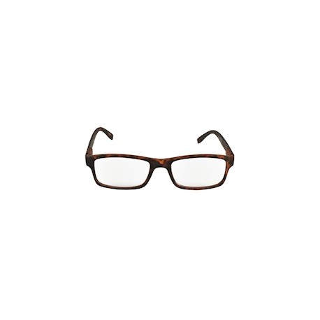 LENTES DE LECTURA 6.95 X 2.45 CM NEGRO