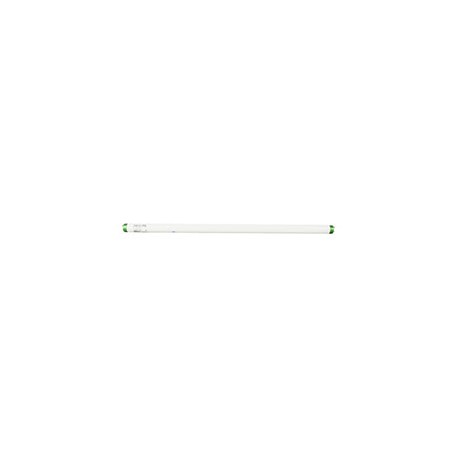 LÁMPARA FLUORESCENTE T8 17 WATTS DE 60.2 CM BLANCO PHILIPS