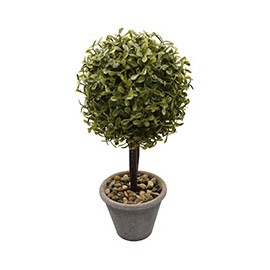 PLANTA DECORATIVA VERDE CON MACETA