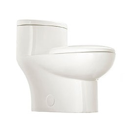 SANITARIO DE 1 PIEZA TOFINO