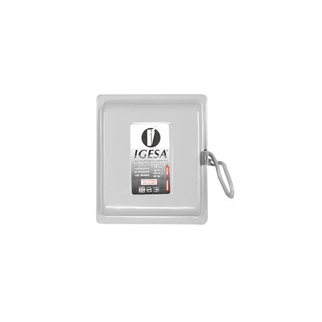 INTERRUPTOR DE SEGURIDAD 3 POLOS 30 A IGESA