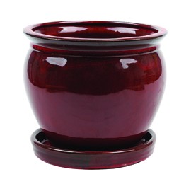 MACETA WISTERIA ROJA 8"