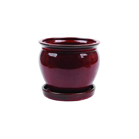 MACETA WISTERIA ROJA 8"