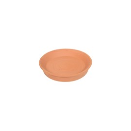 PLATO BARRO NATURAL 6