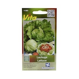 SEMILLAS DE LECHUGA 0.5 GR VERDE VITA