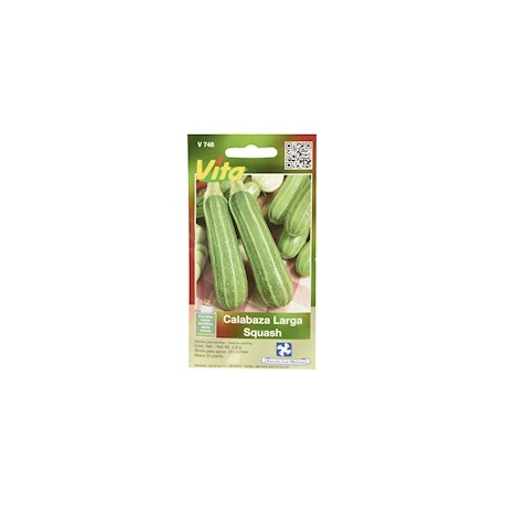 SEMILLAS DE CALABAZA LARGA SQUASH DE 2.6 GR VERDE VITA