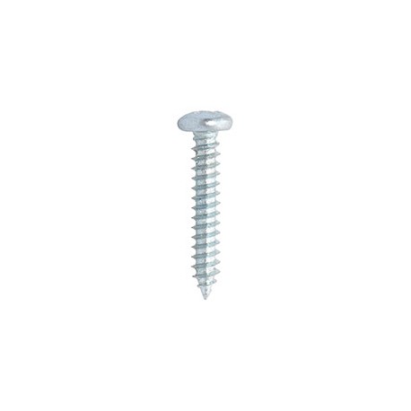 TORNILLO PARA METAL DE 1 PULGADA PLATA CON 100 PIEZAS