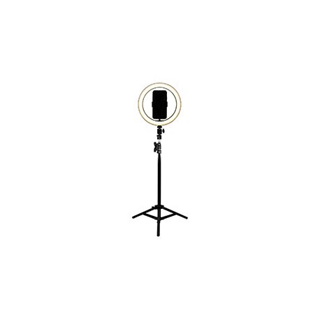 ARO DE LUZ LED CCT 26 CM