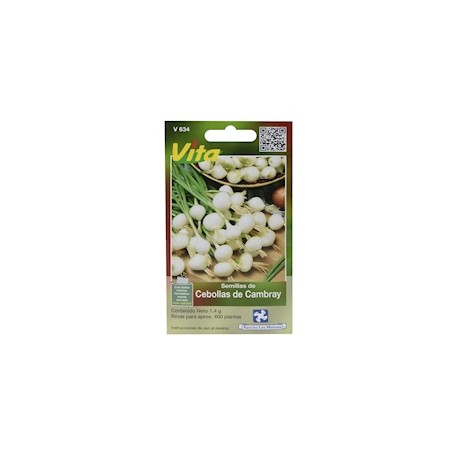 SEMILLAS DE CEBOLLAS DE CAMBRAY 1.4 GR VERDE VITA