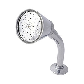 REGADERA ÓPTIMA PLATA HELVEX