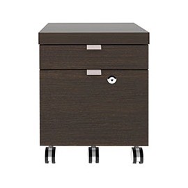 ARCHIVERO CON RUEDAS Y 2 CAJONES 52.5 X 39.3 X 39C