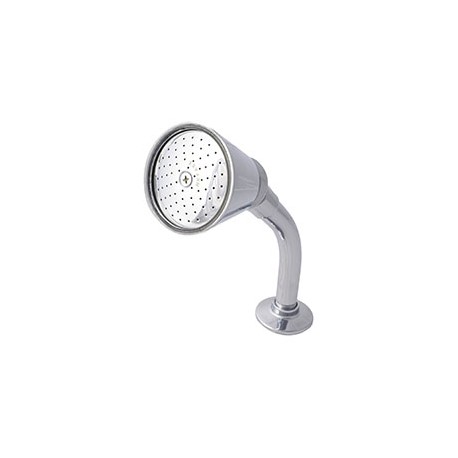 REGADERA ÓPTIMA PLATA HELVEX