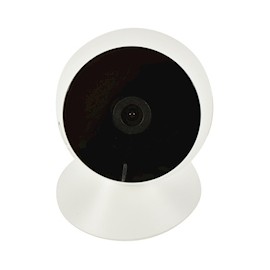 CÁMARA INALÁMBRICA ADVANCED HOME