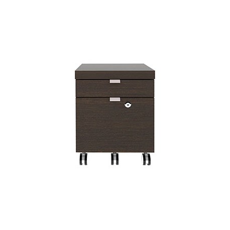 ARCHIVERO CON RUEDAS Y 2 CAJONES 52.5 X 39.3 X 39C