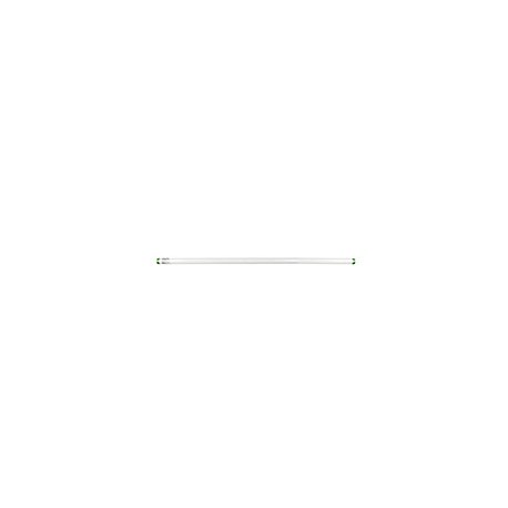 FOCO DE TUBO FLUORESCENTE T8 PHILIPS 59 W 5900 LM LUZ FRÍA BLANCA