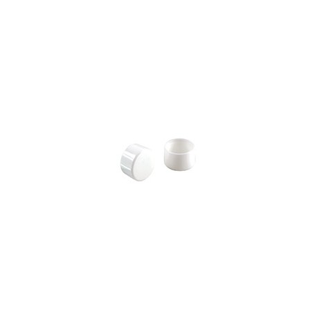 TAPÓN PARA BANCO DE PLÁSTICO BLANCO 7/8'