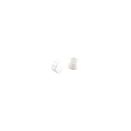 TAPÓN PARA BANCO DE PLÁSTICO BLANCO 3/4'