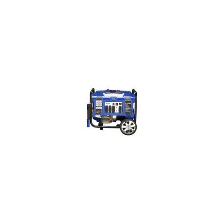 GENERADOR ÉLECTRICO 11050 WATTS FORD