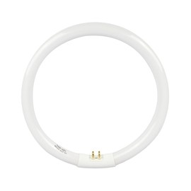 FOCO CIRCULAR 22 W LUZ FRIA