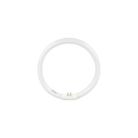 FOCO CIRCULAR 22 W LUZ FRIA