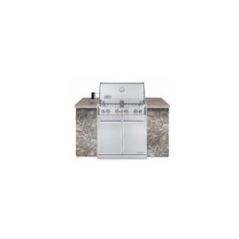 ASADOR GAS SUMMIT S460 EMPOTRABLE