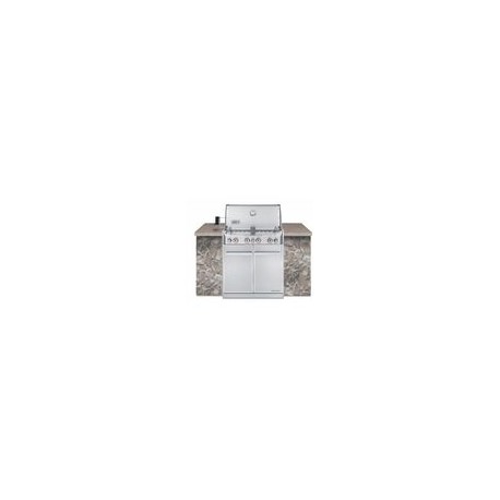 ASADOR GAS SUMMIT S460 EMPOTRABLE