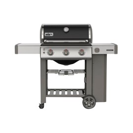 Asador Gas Genesis II E310