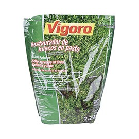 RESTAURADOR DE HUECOS EN PASTO DE 2.25 KG VIGORO