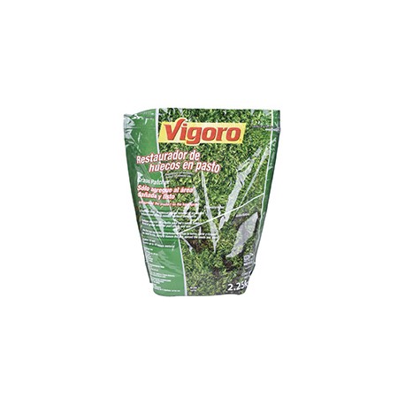 RESTAURADOR DE HUECOS EN PASTO DE 2.25 KG VIGORO