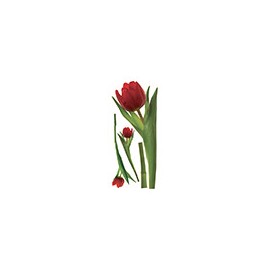 STICKER GRANDE FLORES 137.1X41.9 CM ROOM MATES