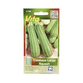 SEMILLAS DE CALABAZA LARGA SQUASH DE 2.6 GR VERDE VITA