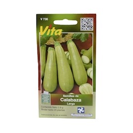 SEMILLAS DE CALABAZA LARGA 2.8 GR VERDE VITA
