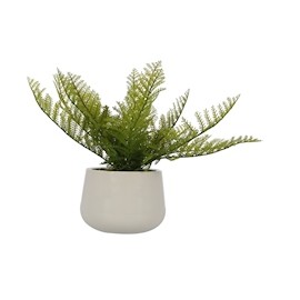 PLANTA DELUXE GRANDE